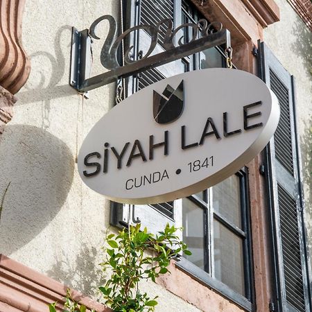 Hotel Siyah Lale Cunda 1841 (Adults Only) à Ayvalı Extérieur photo