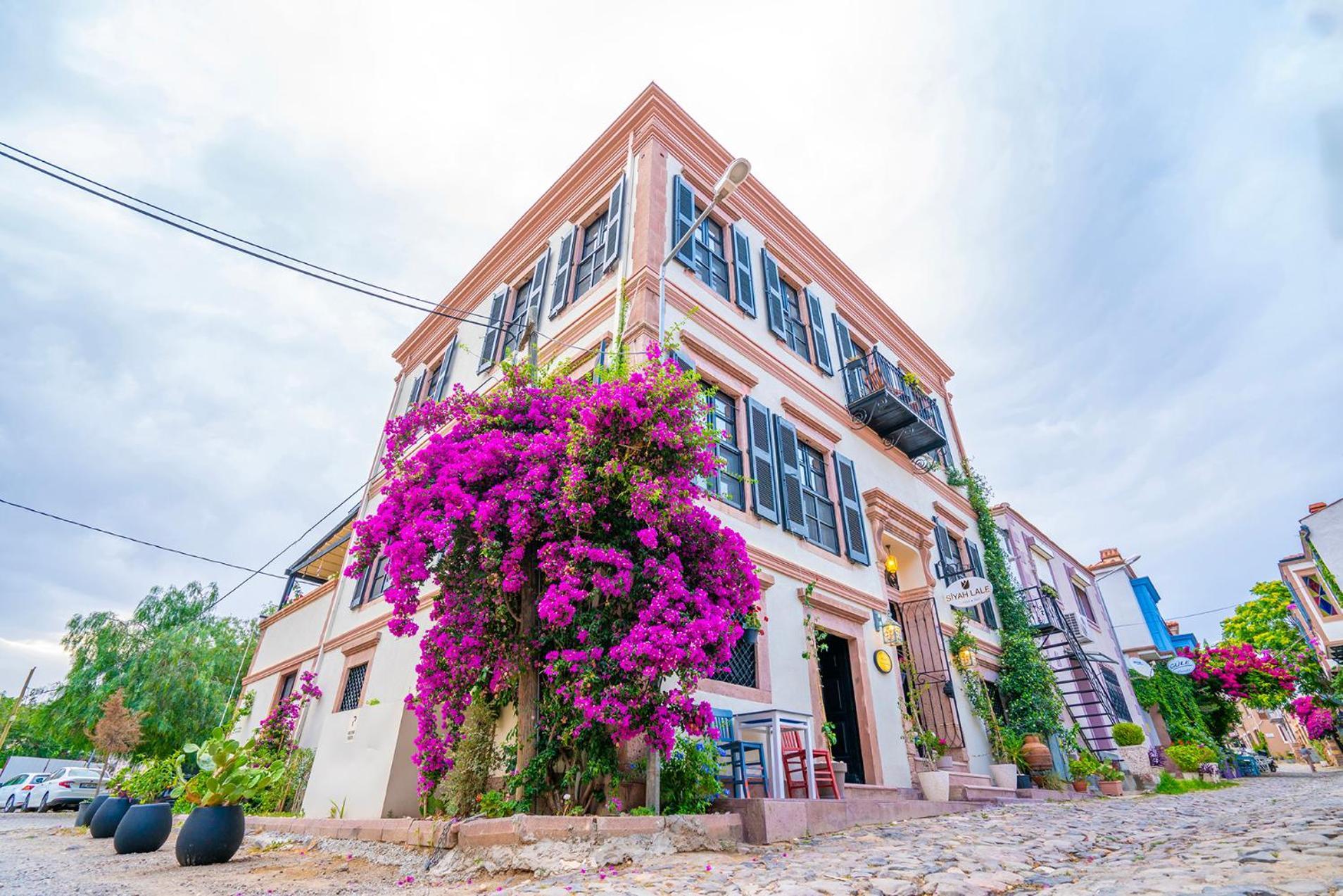Hotel Siyah Lale Cunda 1841 (Adults Only) à Ayvalı Extérieur photo