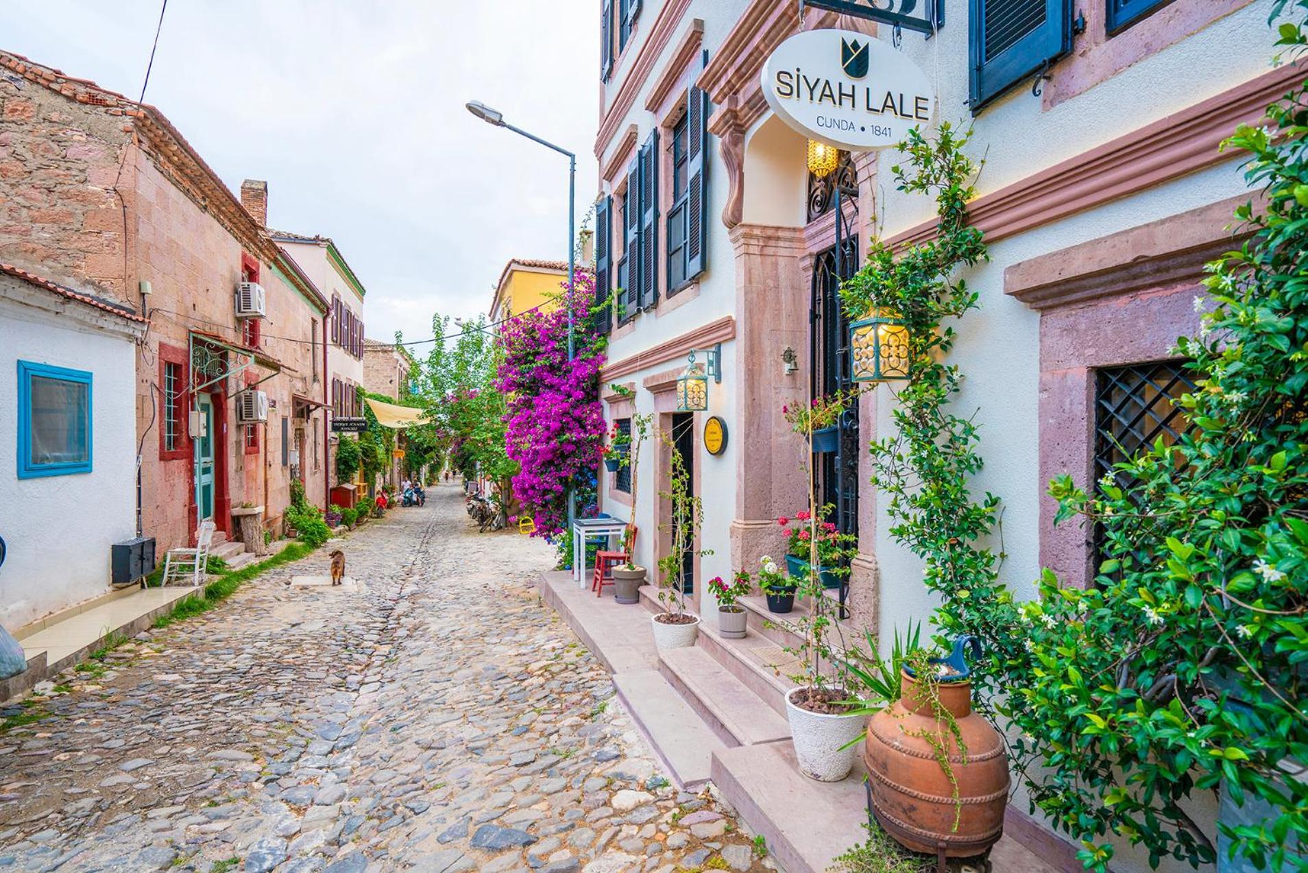 Hotel Siyah Lale Cunda 1841 (Adults Only) à Ayvalı Extérieur photo