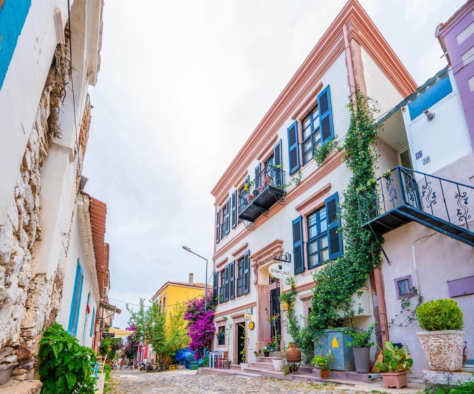 Hotel Siyah Lale Cunda 1841 (Adults Only) à Ayvalı Extérieur photo