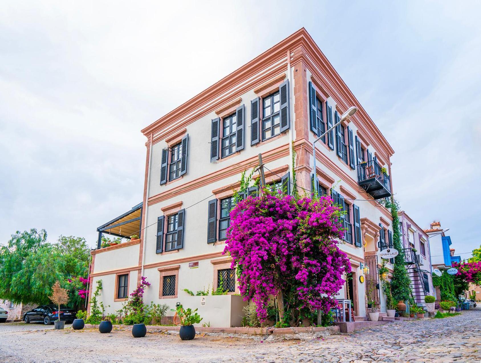 Hotel Siyah Lale Cunda 1841 (Adults Only) à Ayvalı Extérieur photo